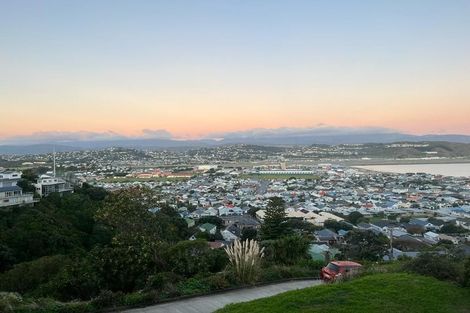 Photo of property in 45 Sutherland Road, Melrose, Wellington, 6023