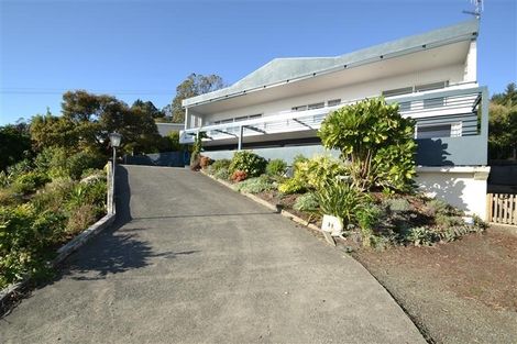 Photo of property in 8 Orakei Street, Tahunanui, Nelson, 7011