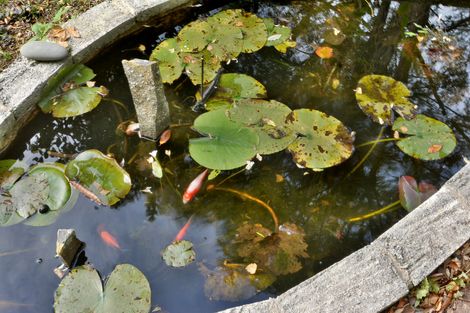Photo of property in 16 Henry Street, Careys Bay, Port Chalmers, 9023