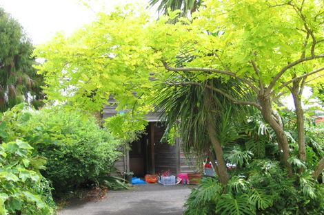 Photo of property in 22 Turakina Street, Grey Lynn, Auckland, 1021