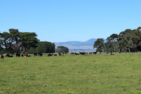 Photo of property in 523 Western Lake Road, Western Lake, 5773