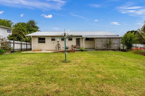 Photo of property in 43 Eden Terrace, Te Kamo, Whangarei, 0112
