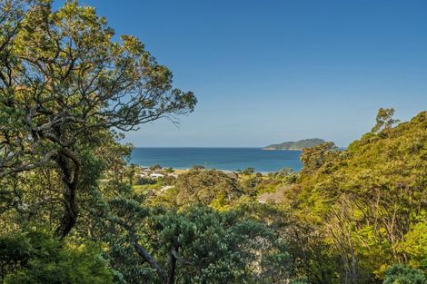 Photo of property in 49 Mount Avenue, Pauanui, Hikuai, 3579