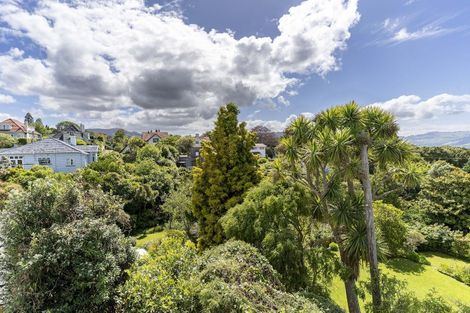 Photo of property in 59 Pacific Street, Roslyn, Dunedin, 9010