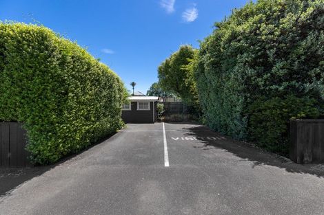 Photo of property in 137 Milton Street, The Wood, Nelson, 7010