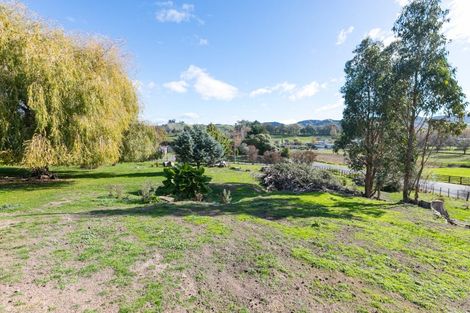 Photo of property in 21 Eagle Street, Waipawa, 4210