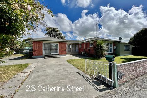 Photo of property in 167 Thomson Street, Tinwald, Ashburton, 7700