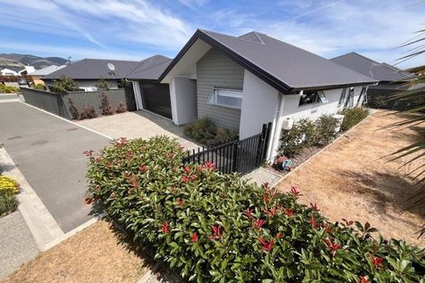 Photo of property in 37 Youngberry Drive, Richmond, 7020