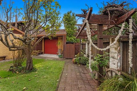 Photo of property in 41 Pouwhare Street, Whakatane, 3120