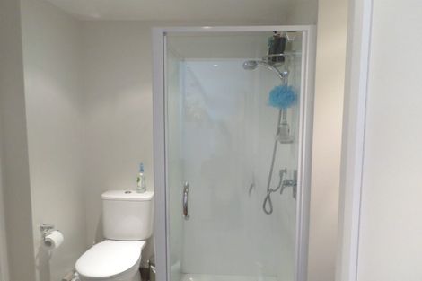 Photo of property in Soho Apartments, 817/74 Taranaki Street, Te Aro, Wellington, 6011