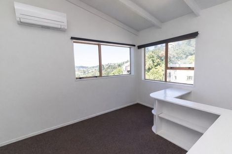 Photo of property in 134b Raroa Road, Aro Valley, Wellington, 6012