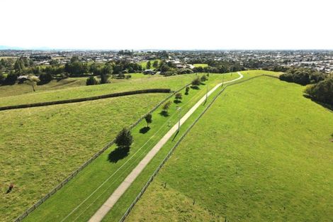 Photo of property in 73 Wallace Road, Temple View, Hamilton, 3289