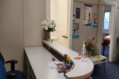 Photo of property in 1/225 Manukau Road, Epsom, Auckland, 1023