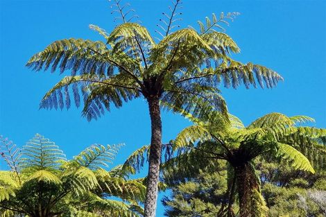 Photo of property in Willow Bay, Mahau Sound, Marlborough Sounds, 7282