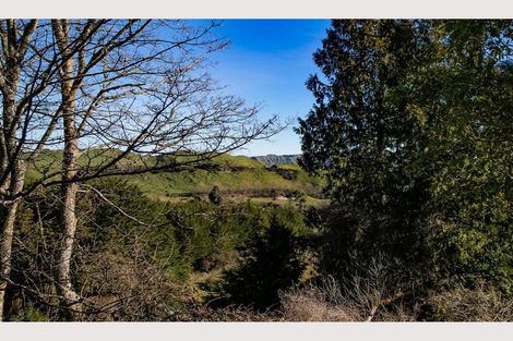 Photo of property in 8 Ameku Road, Raetihi, 4632