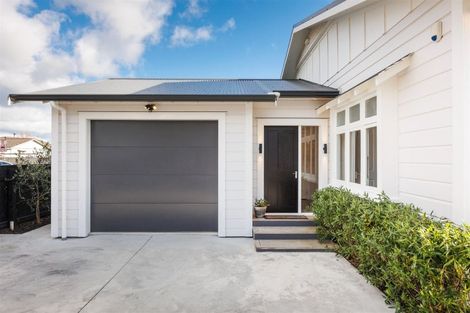 Photo of property in 101 Limbrick Street, Terrace End, Palmerston North, 4410