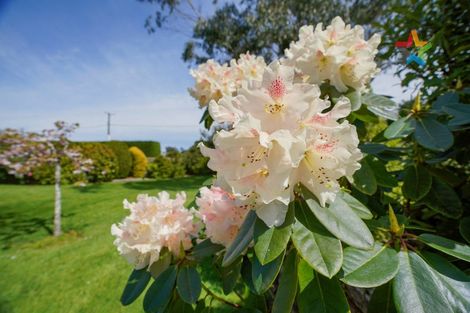 Photo of property in 73 Black Road, Otatara, Invercargill, 9879