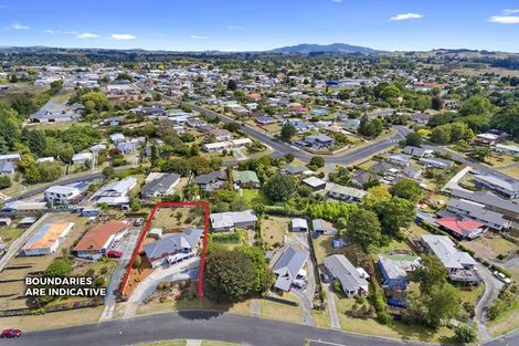 Photo of property in 17 Bledisloe Avenue, Putaruru, 3411