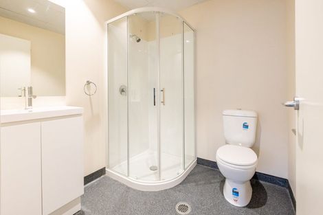 Photo of property in Te Kainga Te Aka, 203 Willis Street, Te Aro, Wellington, 6011