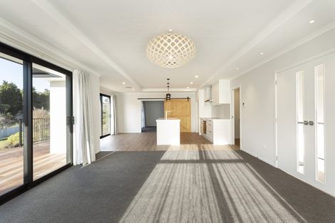 Photo of property in 41 Grandvista Drive, Green Island, Dunedin, 9018