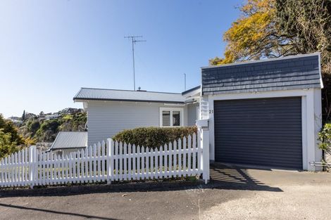 Photo of property in 21 Coleman Terrace, Bluff Hill, Napier, 4110