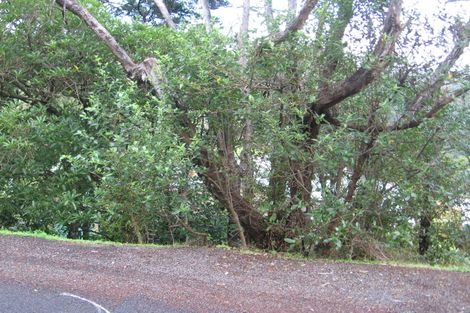 Photo of property in 47 Tainui Road, Titirangi, Auckland, 0604