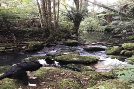 Photo of property in 409 Puketotara Road, Waipapa, Kerikeri, 0295