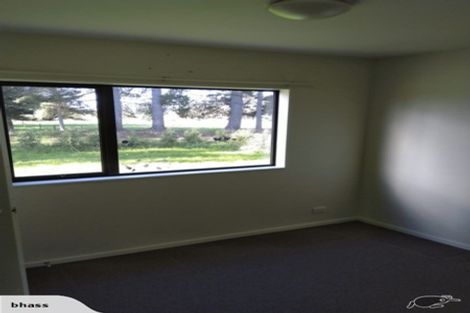 Photo of property in 124 Howsons Road, Cust, Rangiora, 7475