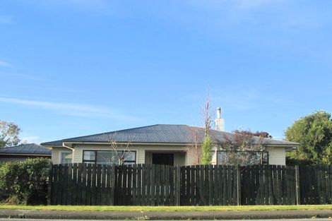 Photo of property in 901 Duke Street, Mahora, Hastings, 4120