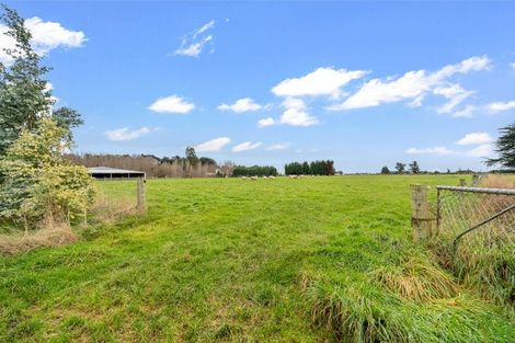 Photo of property in 216 Ryal Bush Wallacetown Road, Branxholme, Invercargill, 9876