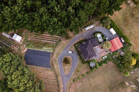 Photo of property in 808 French Pass Road, Karapiro, Cambridge, 3496