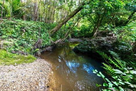 Photo of property in 202 Pine Valley Road, Dairy Flat, Silverdale, 0992