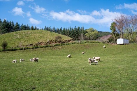 Photo of property in 728 Paradise Valley Road, Ngongotaha Valley, Rotorua, 3072