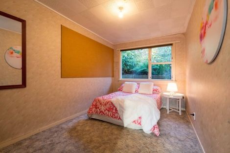 Photo of property in 17 Dalmeny Street, North East Valley, Dunedin, 9010