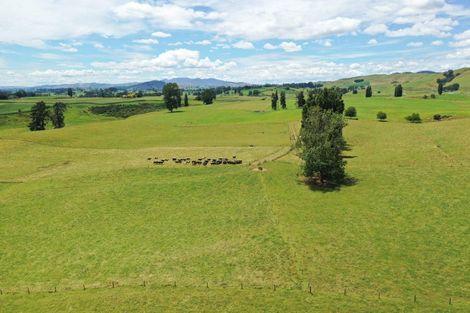 Photo of property in 912 Ngahape Road, Maihiihi, Te Awamutu, 3873