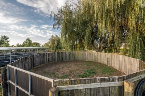 Photo of property in 81 Racecourse Road, Cambridge, 3493