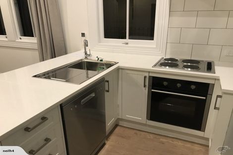 Photo of property in 23 Buchanan Street, Kingsland, Auckland, 1021