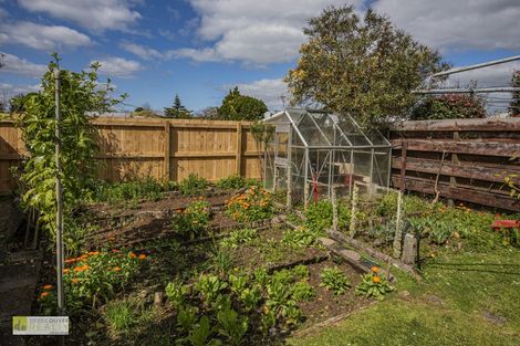 Photo of property in 125 Puriri Park Road, Maunu, Whangarei, 0110