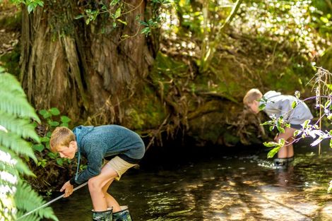 Photo of property in 60 Oakum Road, Whitby, 5024