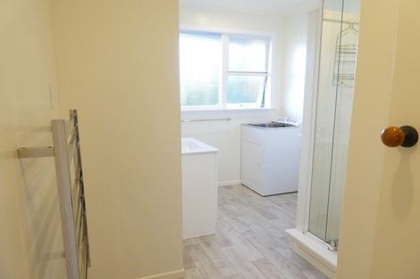 Photo of property in 133 Britomart Street, Berhampore, Wellington, 6023