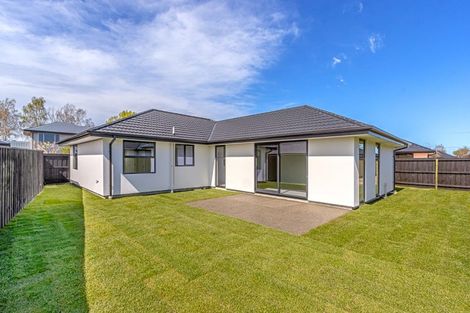 Photo of property in 8b Kildare Street, Belfast, Christchurch, 8051