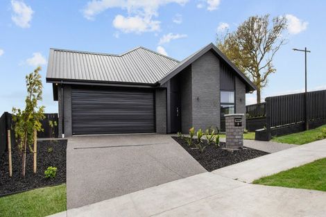 Photo of property in 8 Akakura Terrace, Peacocke, Hamilton, 3206