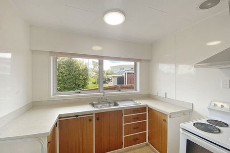 Photo of property in 411 Ruahine Street, Terrace End, Palmerston North, 4410