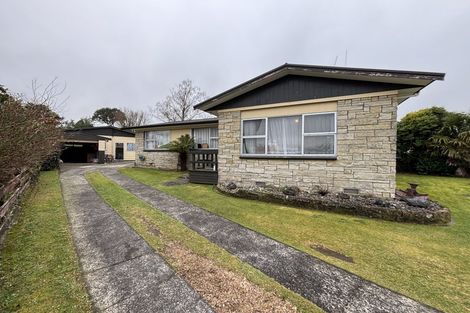 Photo of property in 12 Karaka Place, Tokoroa, 3420