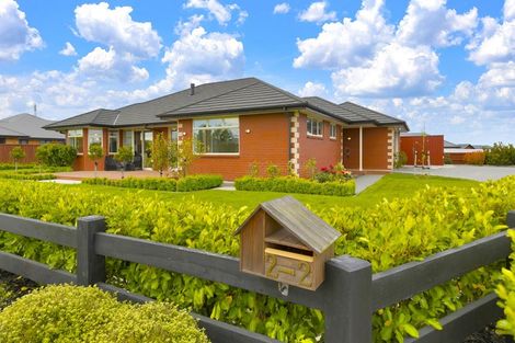 Photo of property in 2/2 Loe Place, Amberley, 7410