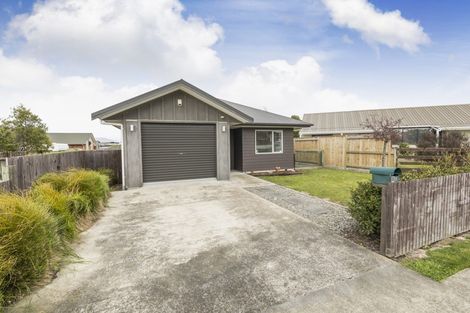 Photo of property in 92d Sherwill Street West, Feilding, 4702