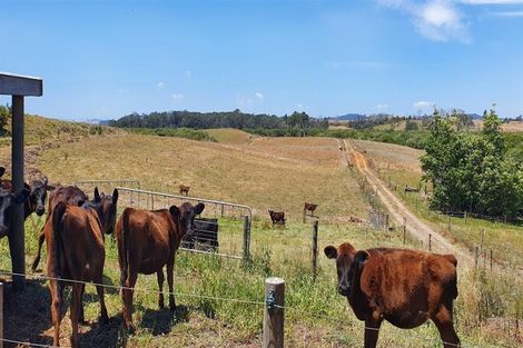 Photo of property in 218 Island Block Road, Island Block, Te Kauwhata, 3782