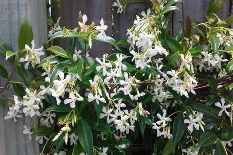 Photo of property in 14 North Crest Drive, Onerahi, Whangarei, 0110