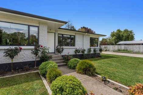 Photo of property in 36 Tawa Street, Edgecumbe, 3120