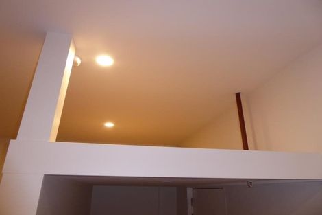 Photo of property in The Lofts, 19/185 Victoria Street, Te Aro, Wellington, 6011
